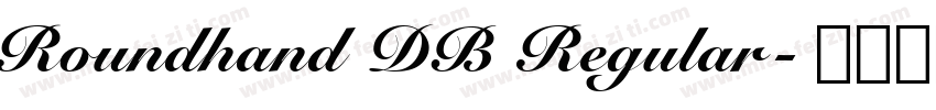 Roundhand DB Regular字体转换